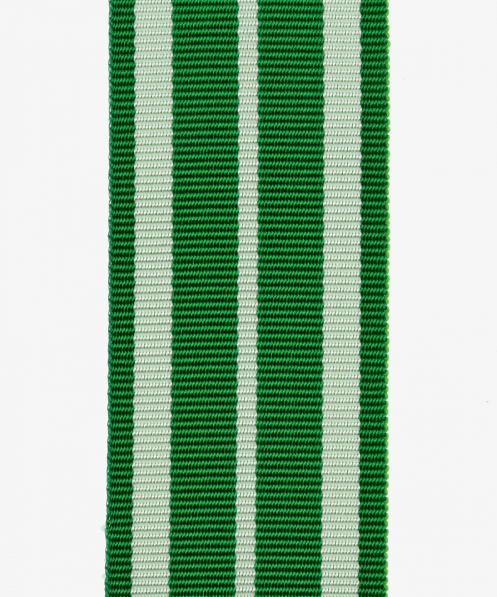 Sachsen-Altenburg, Herzog-Ernst-Medaille, Tapferkeitsmedaille (62)